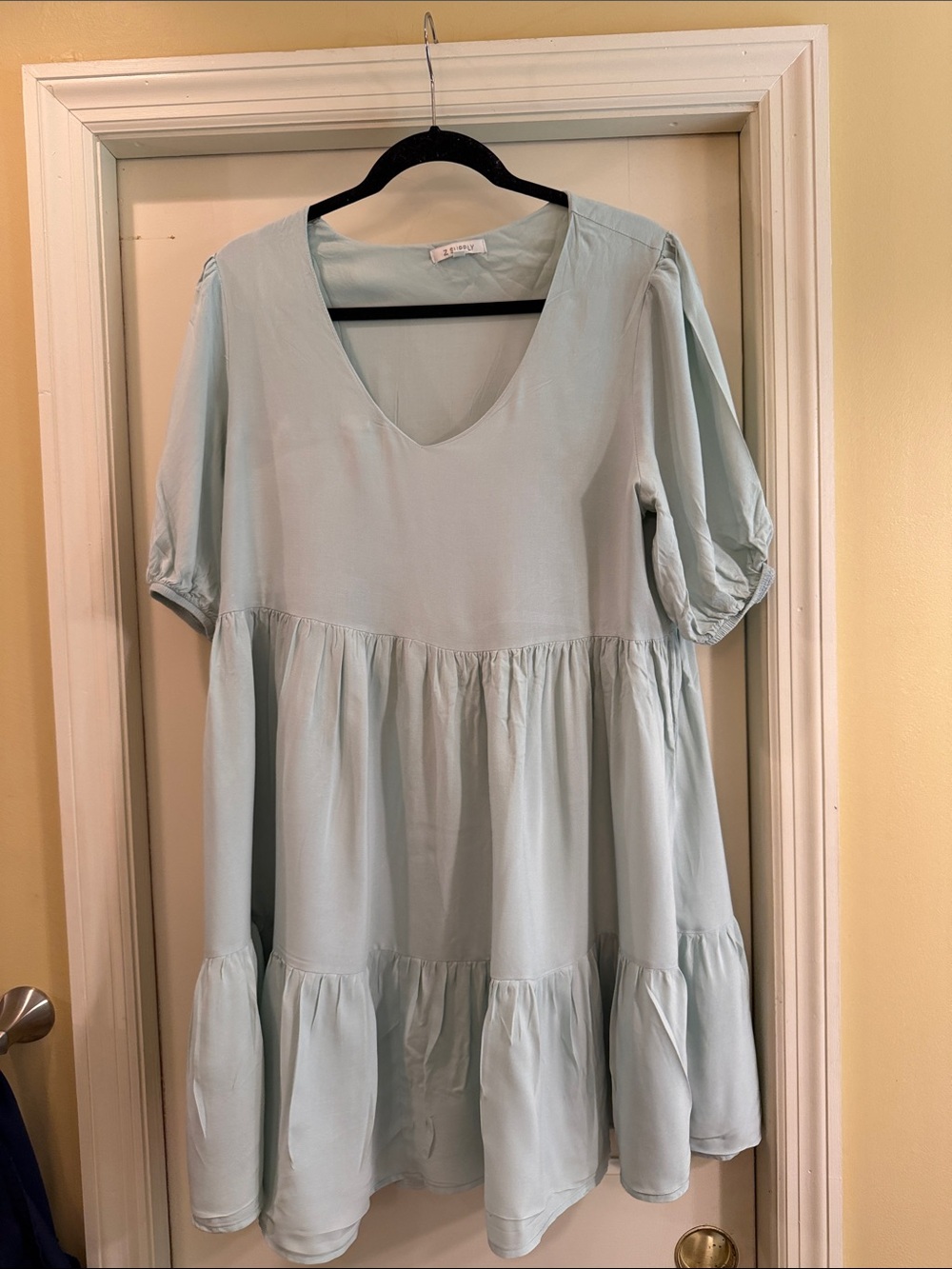 Z Supply pale green soft V-Neck Tiered Tunic